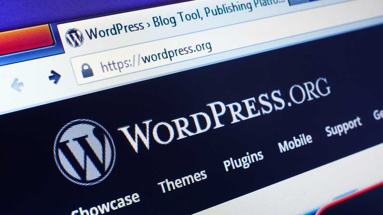 What Is WordPress?